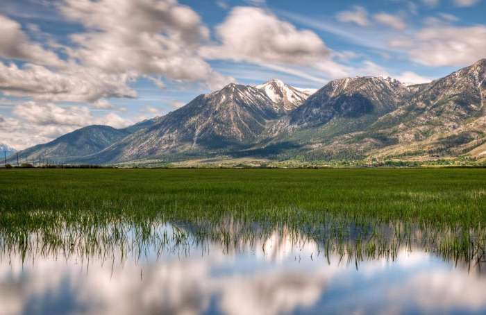 Learn more about Carson Valley